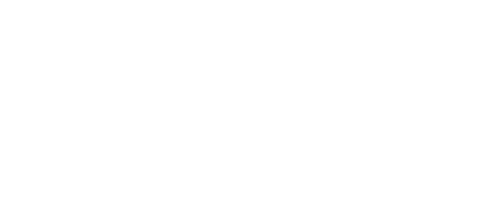 Summer of Space Logo