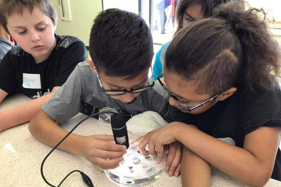 Kids using the Digital Microscope