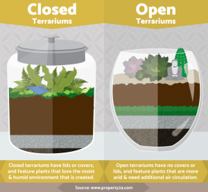 closed-open-terrariums