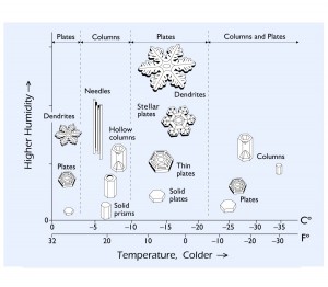 Snow Crystal Formation Morphology