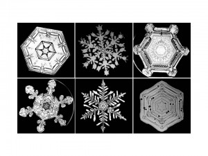 Snow crystals 1