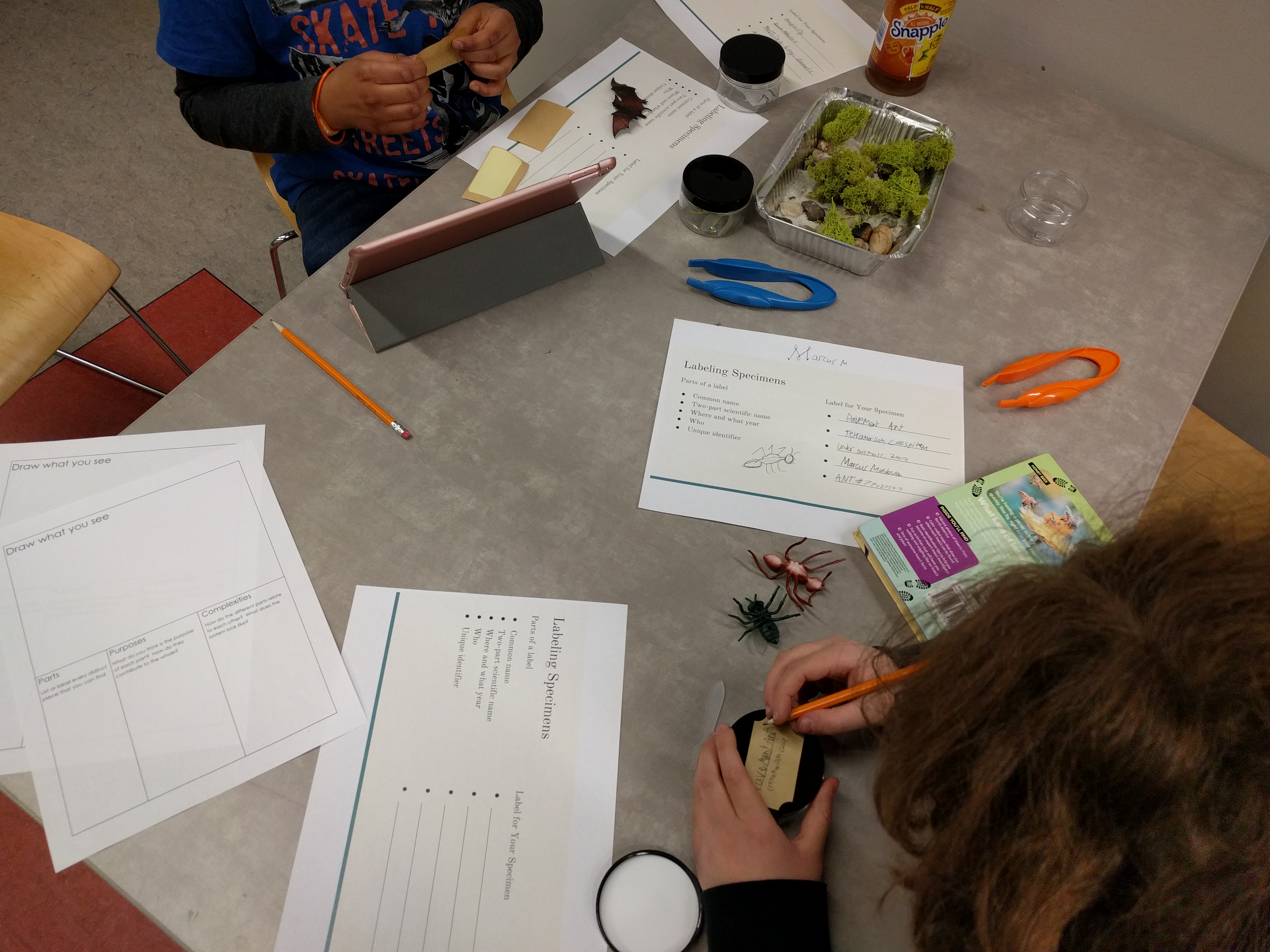What is citizen science star net