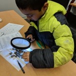 Youth participant examining findings with LED magnifying glass.