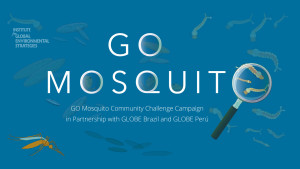 go-mosquito